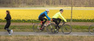 Bicicleta vs. Correr: ¿Cuál es la mejor opción para mejorar tu salud cardiovascular?