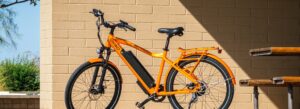 Descubre el significado de la asistencia al pedaleo y cómo funciona en las bicicletas eléctricas